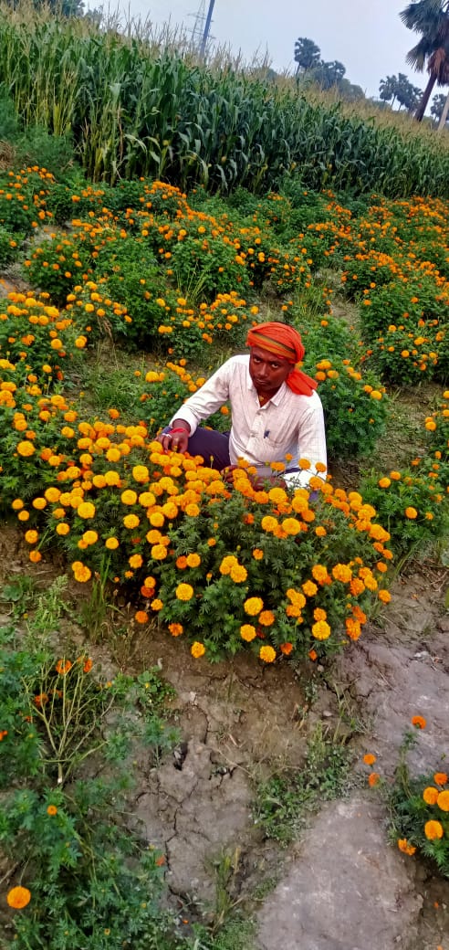 flower businessmen happy with the opening of the locks of temples in samastipur