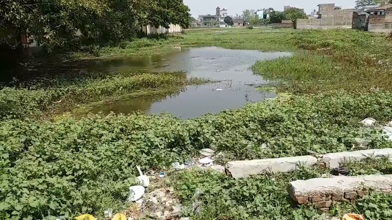 status of Bihar Rajya Path Parivahan Nigam in sitamarhi