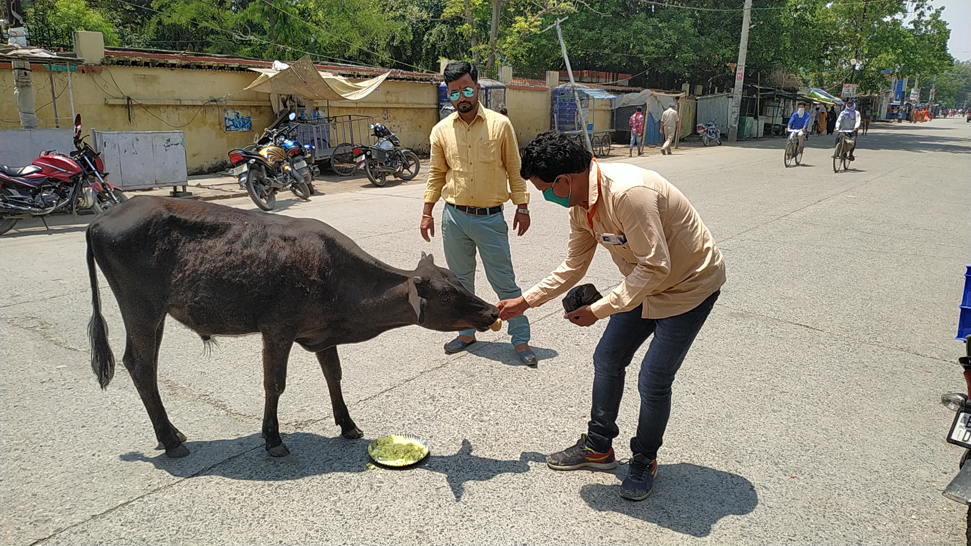 पशु-पक्षियों को खाना खिलाने का चल रहा अभियान