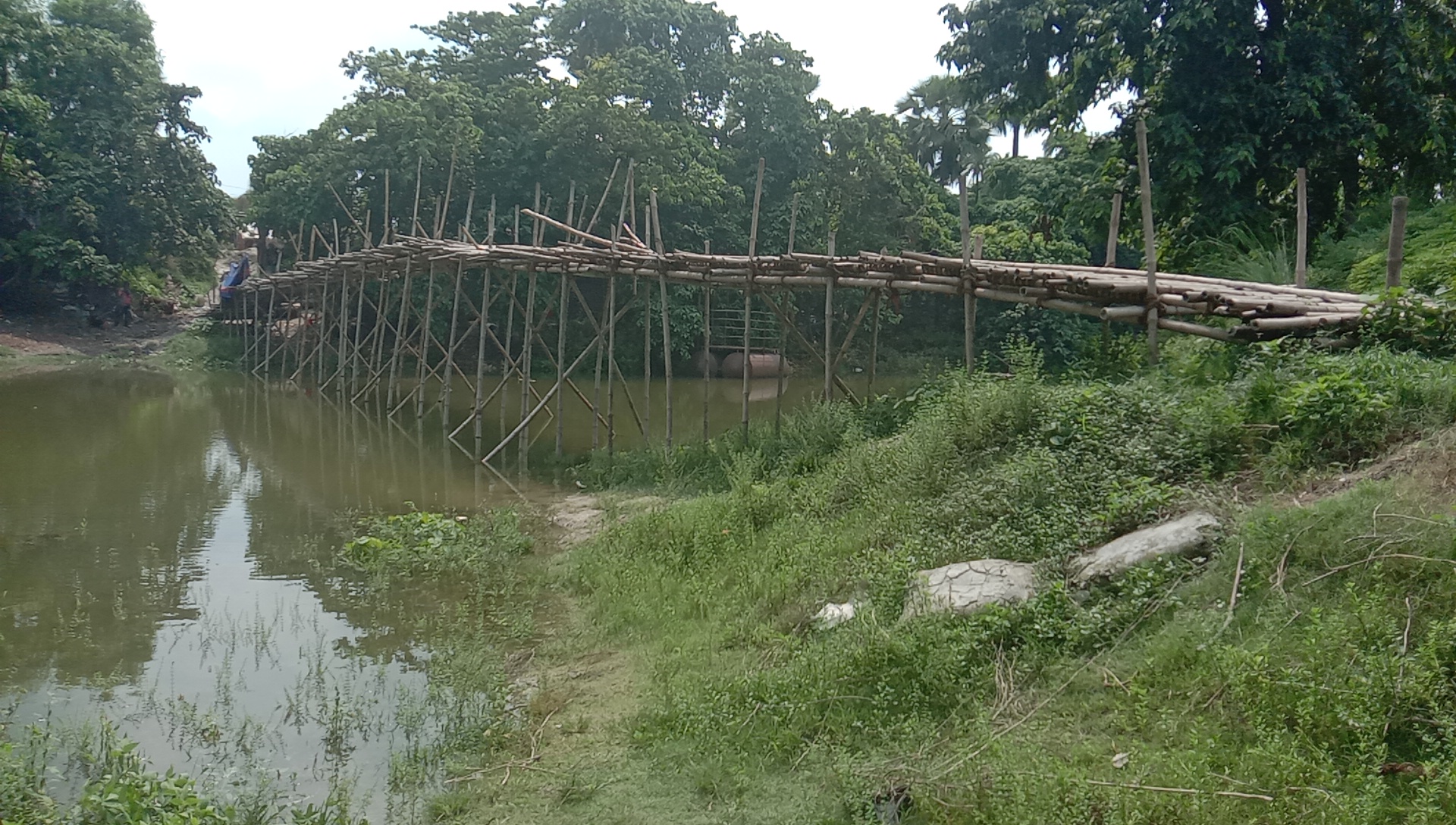 bamboo bridge for transportation