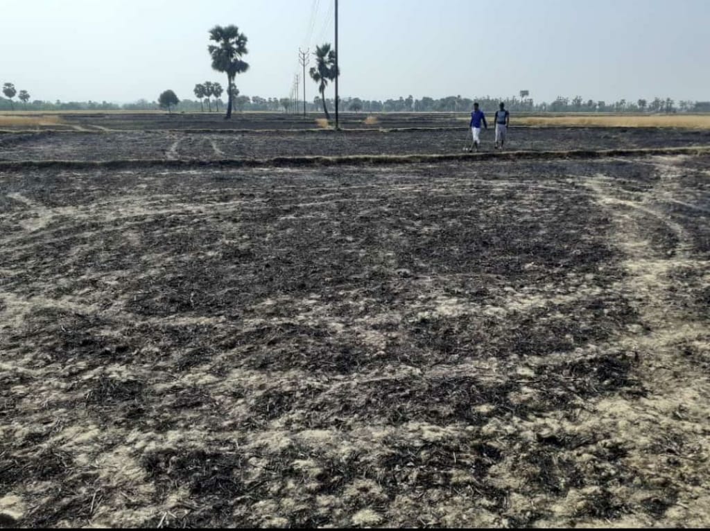 lightning struck 80 acres of crop with dust in kaimur bihar