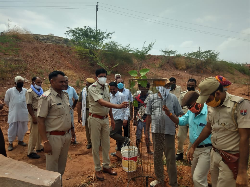 Bhopalgarh news, tree planting