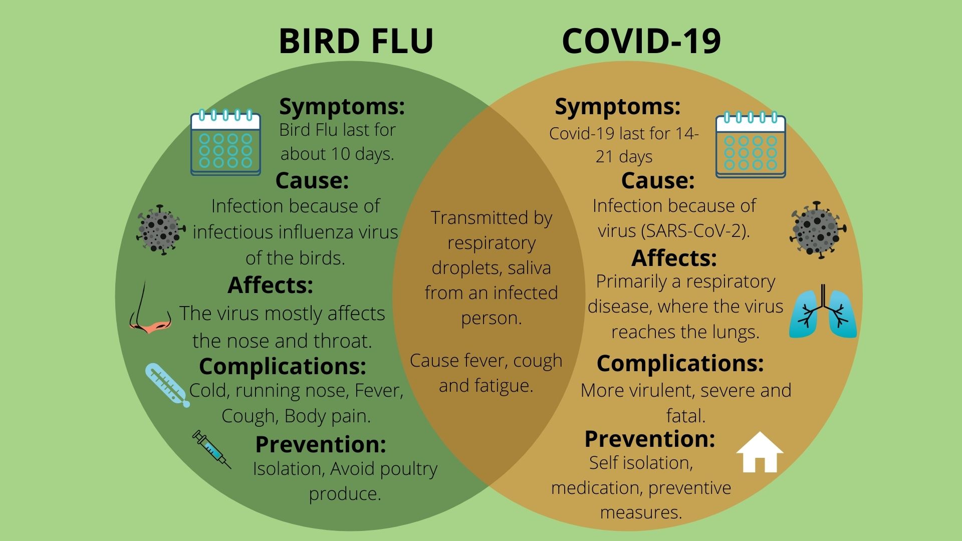 bird flu symptoms, bird flu prevention, bird flu complication