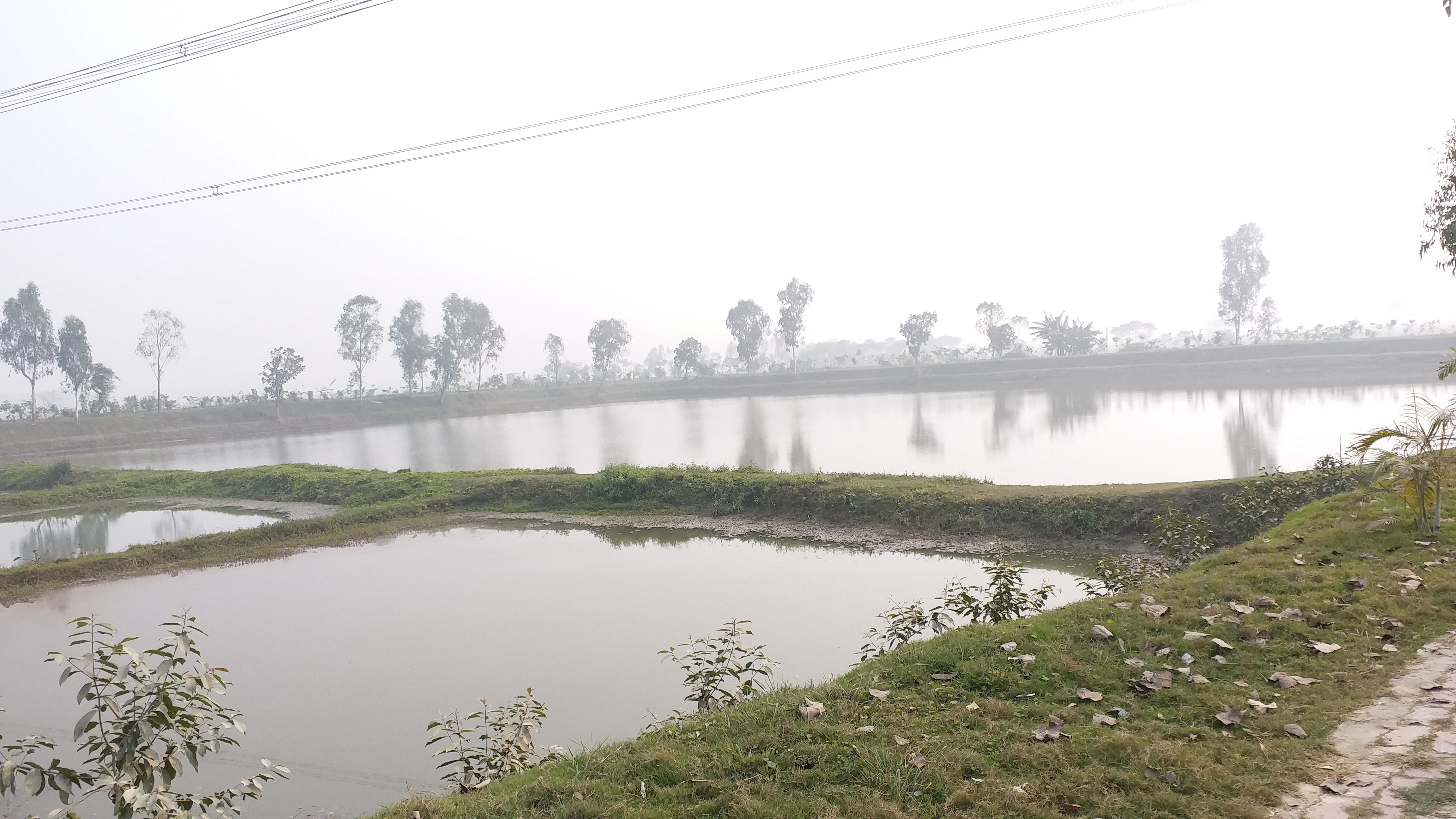 Araria: Morning and evening fog, people are not relieved by the cold