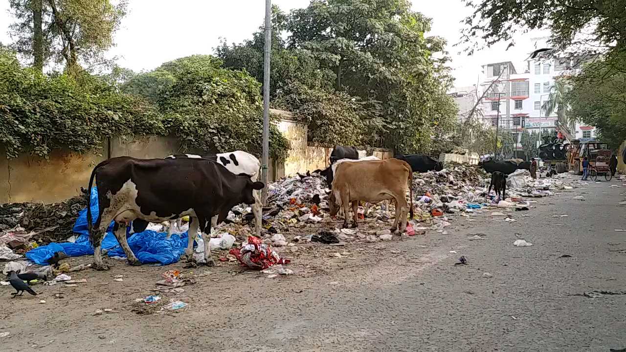 लाजपत पार्क में लगा कूड़े का ढेर