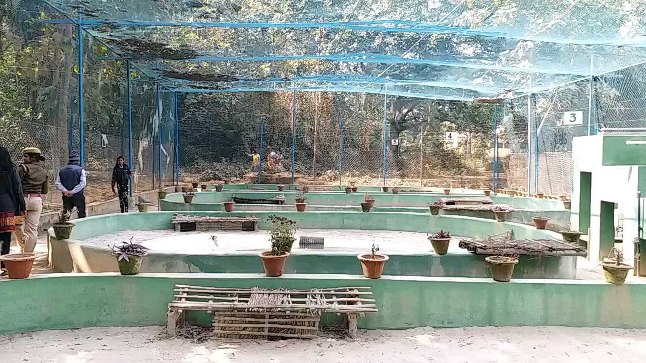 turtle rescue center bhagalpur