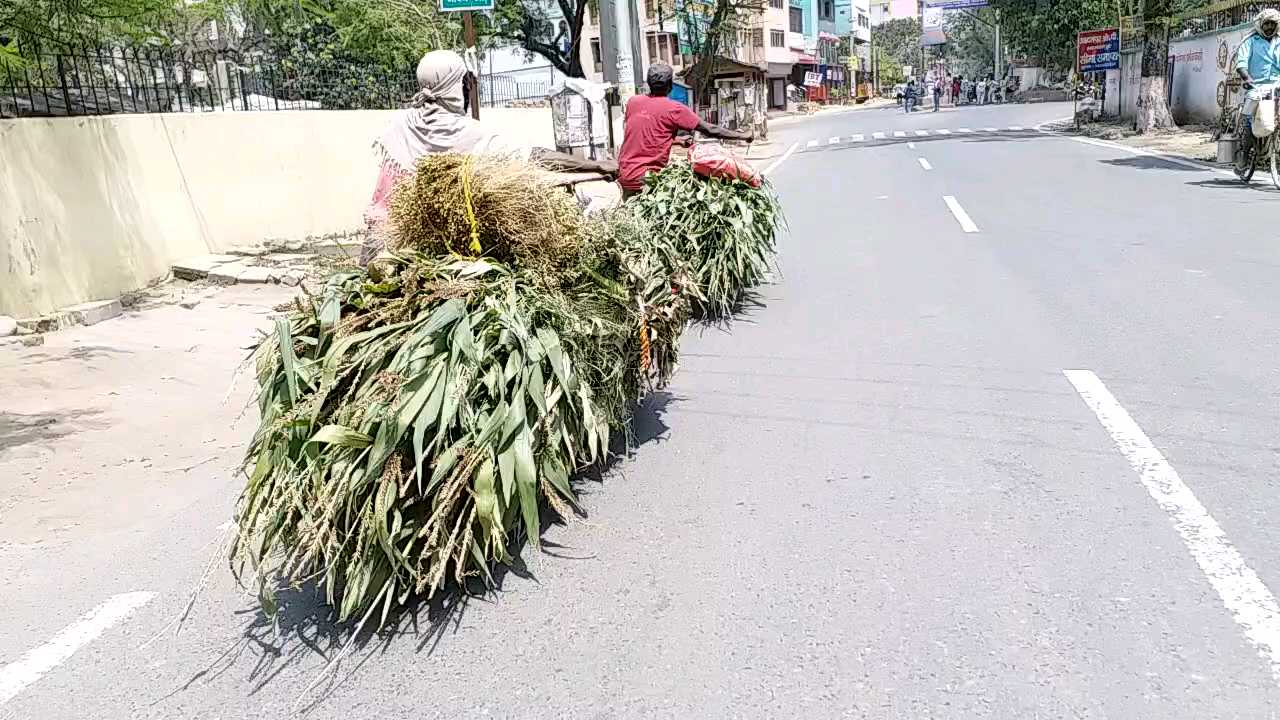 bhagalpur