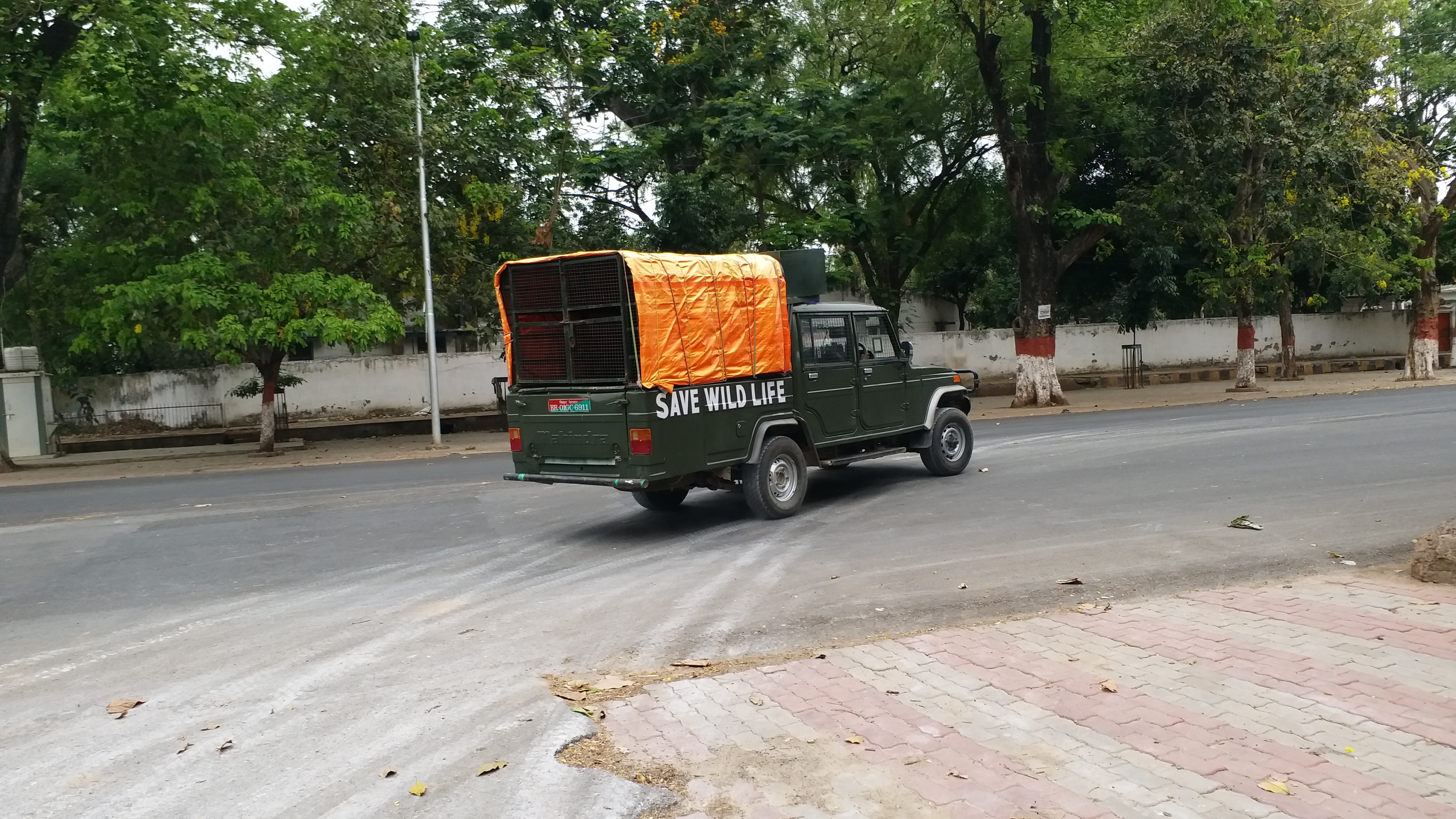 कई वाहनों से पहुंचायी जा रही खाद्य सामाग्री