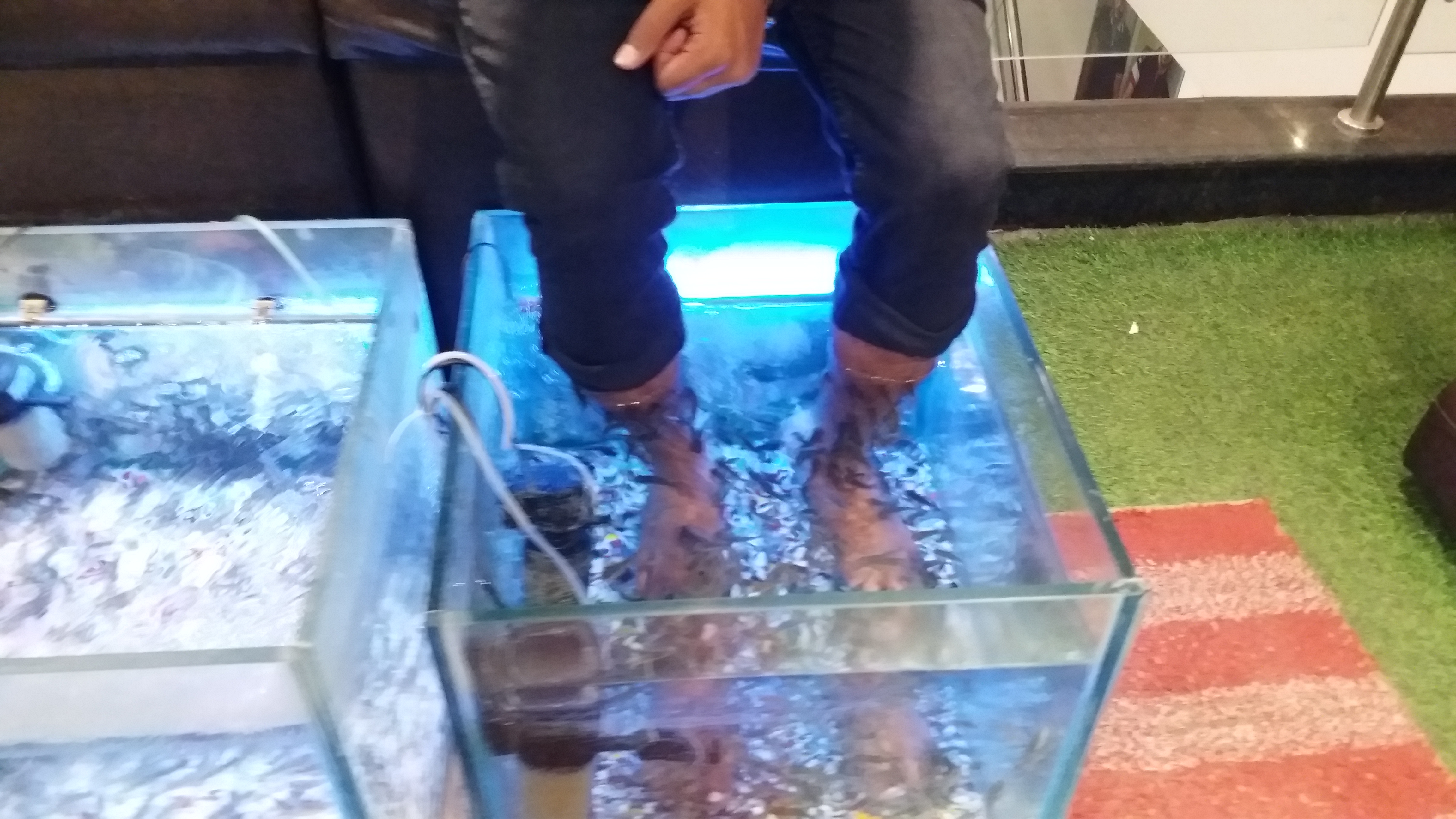 fish pedicure spa