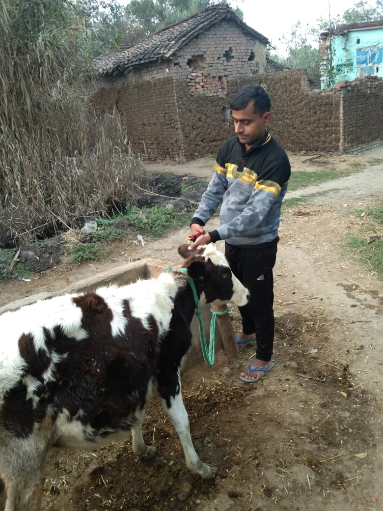 Ear tagging of animals is in final stages in Rohtas