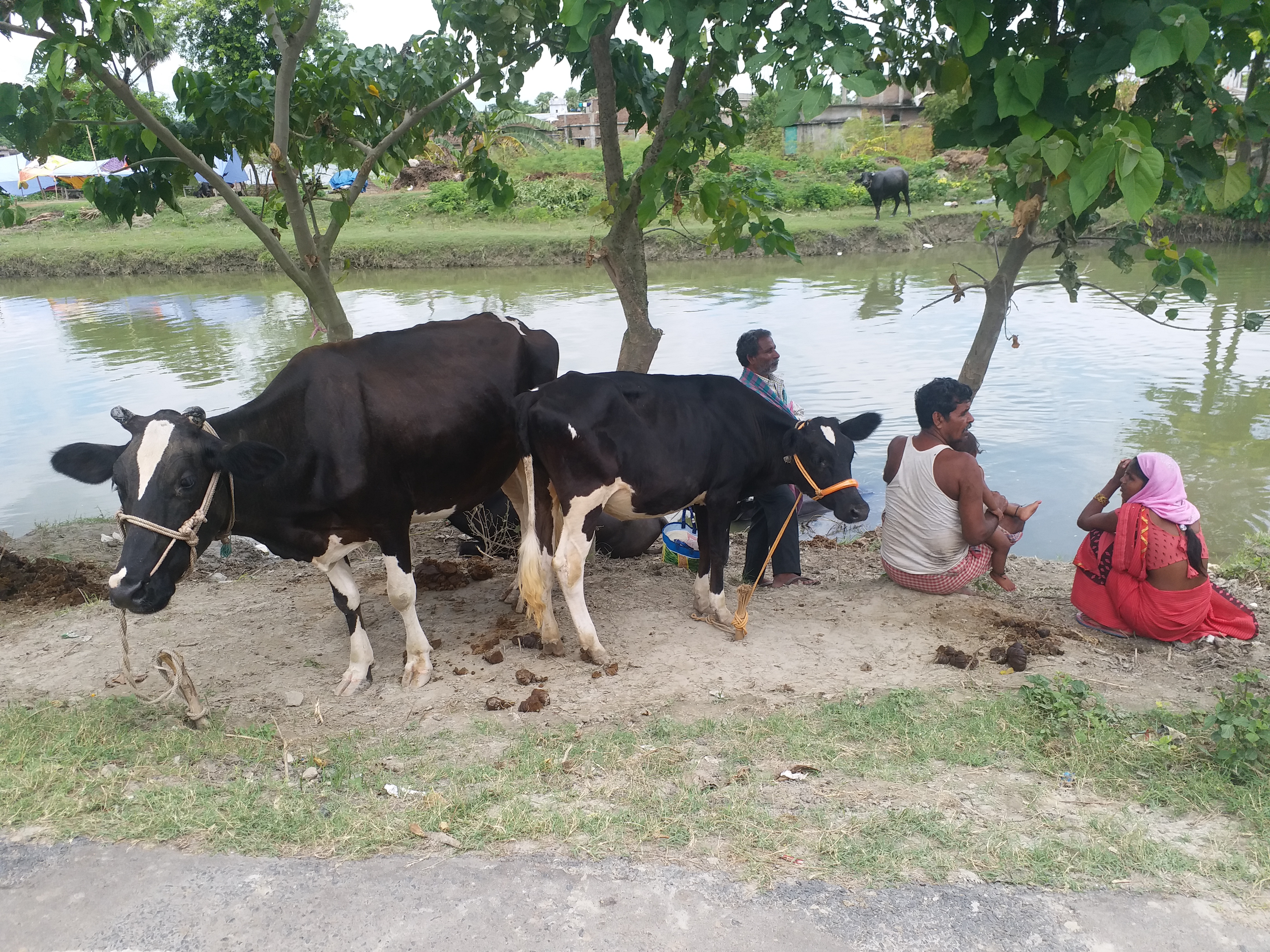 बाढ़ पीड़ितों के सामने खाने का संकट