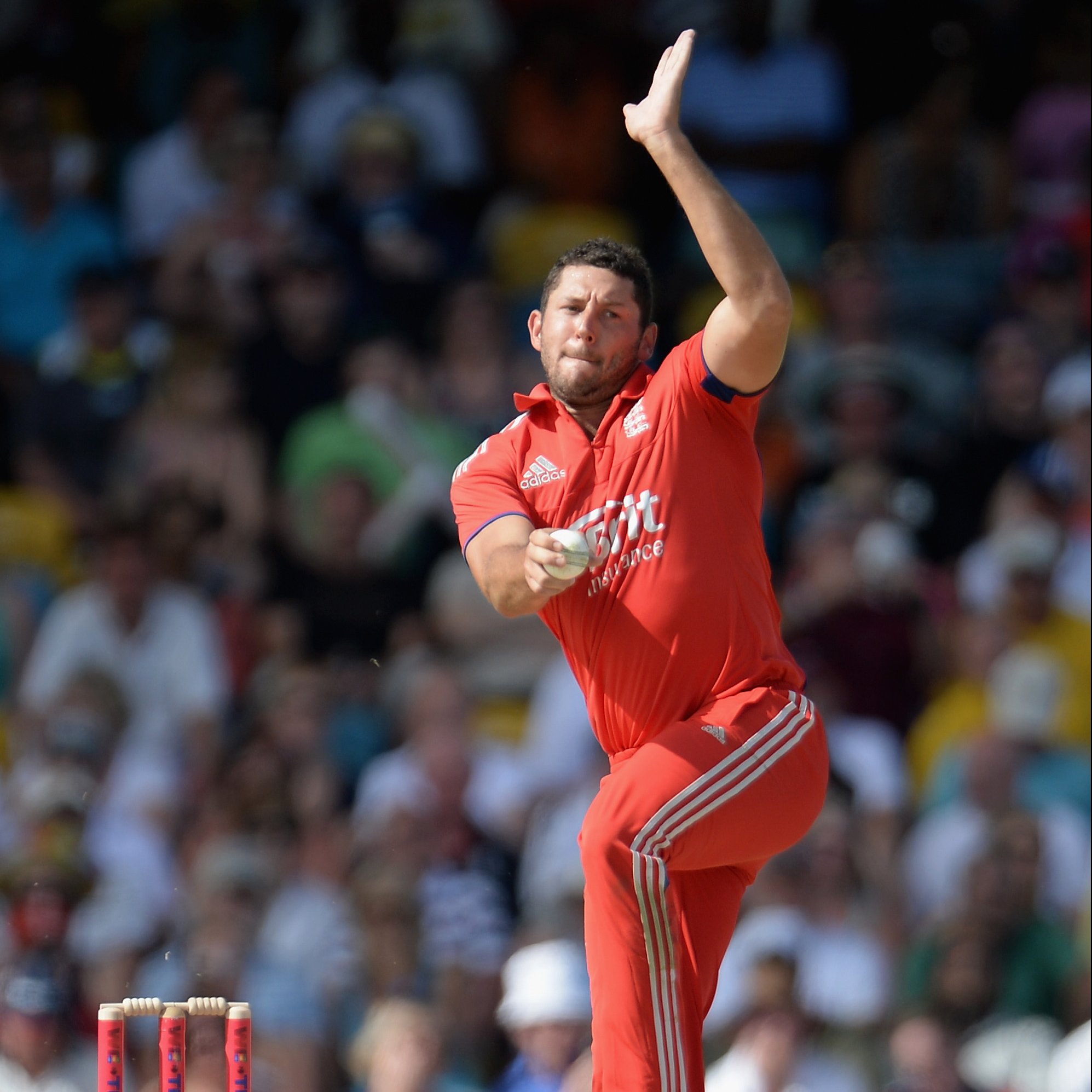 टिम ब्रेसनन , Tim Bresnan, Yorkshire County Cricket Club