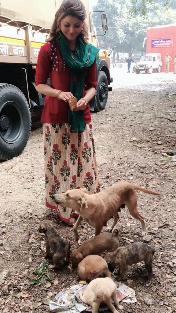 Urvashi Rautela on stray dogs