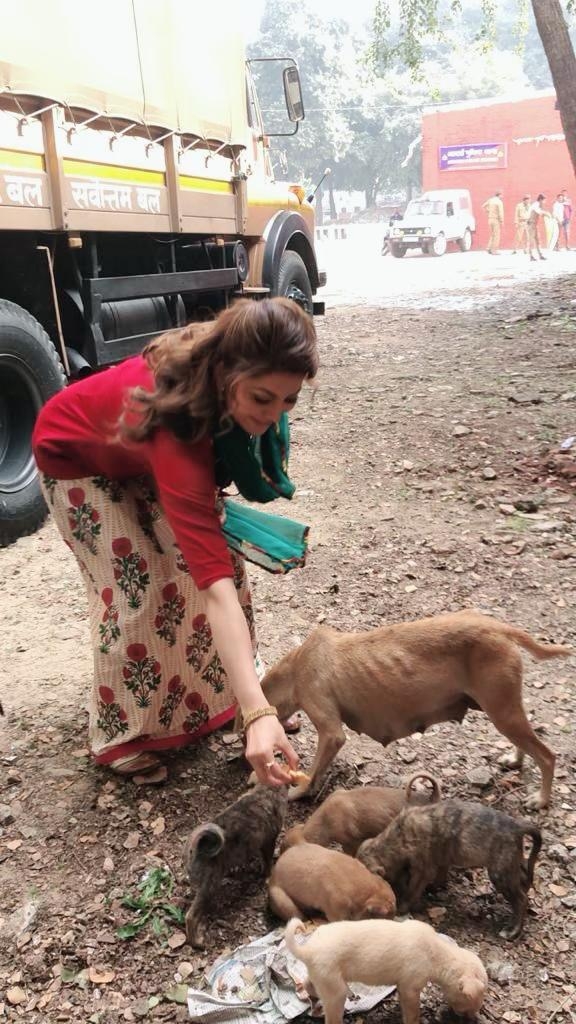 Urvashi Rautela on stray dogs