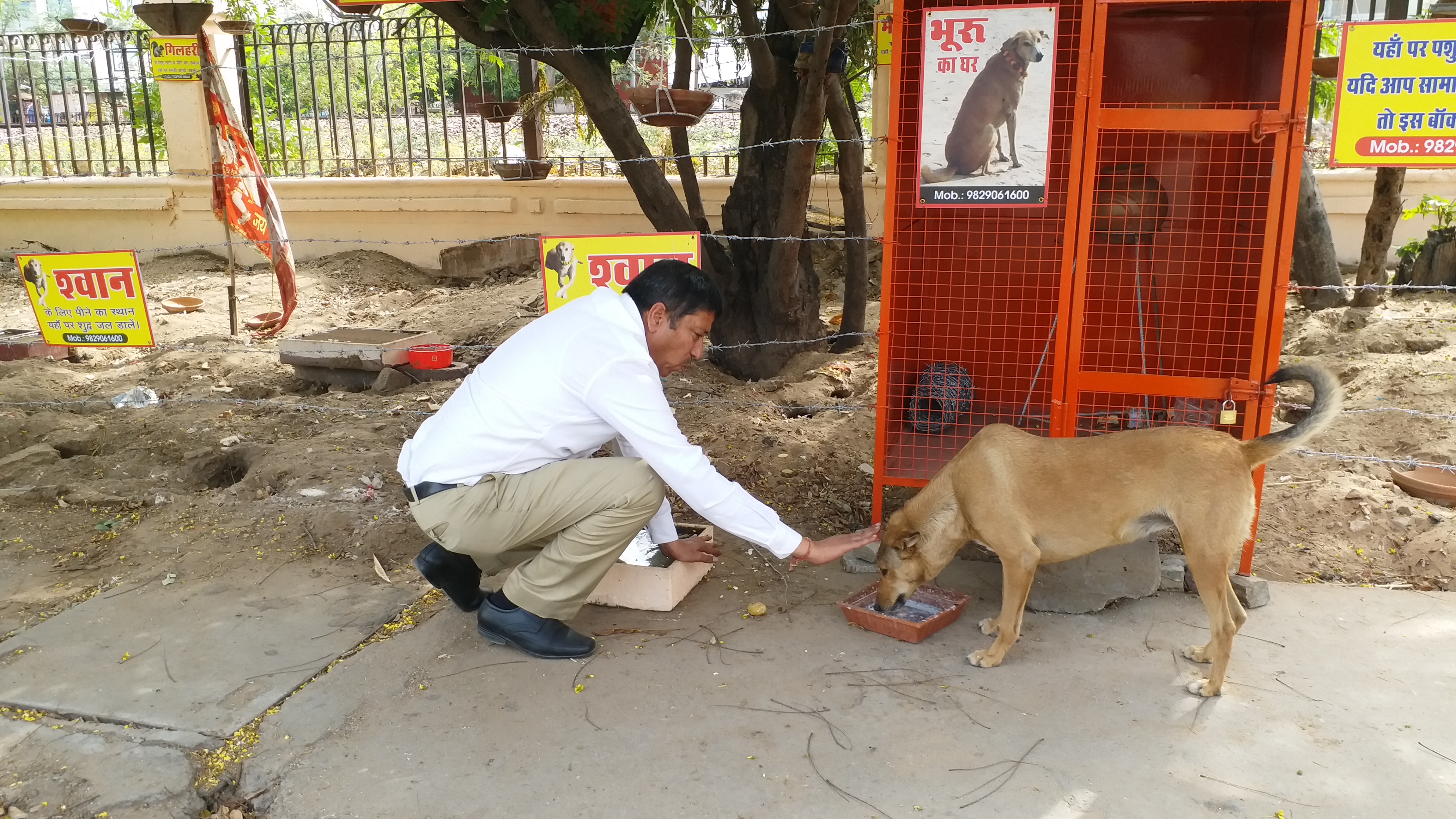 home for birds animal on side of railway track in Jaipur