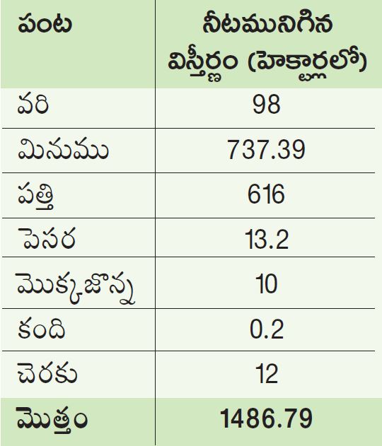 rains at guntur district