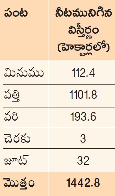 rains at guntur district