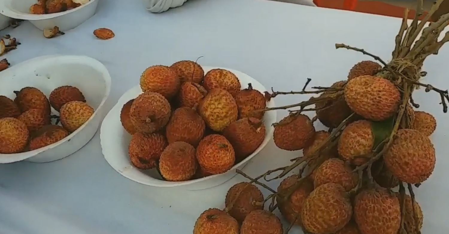 Litchi khao contest in Patna city