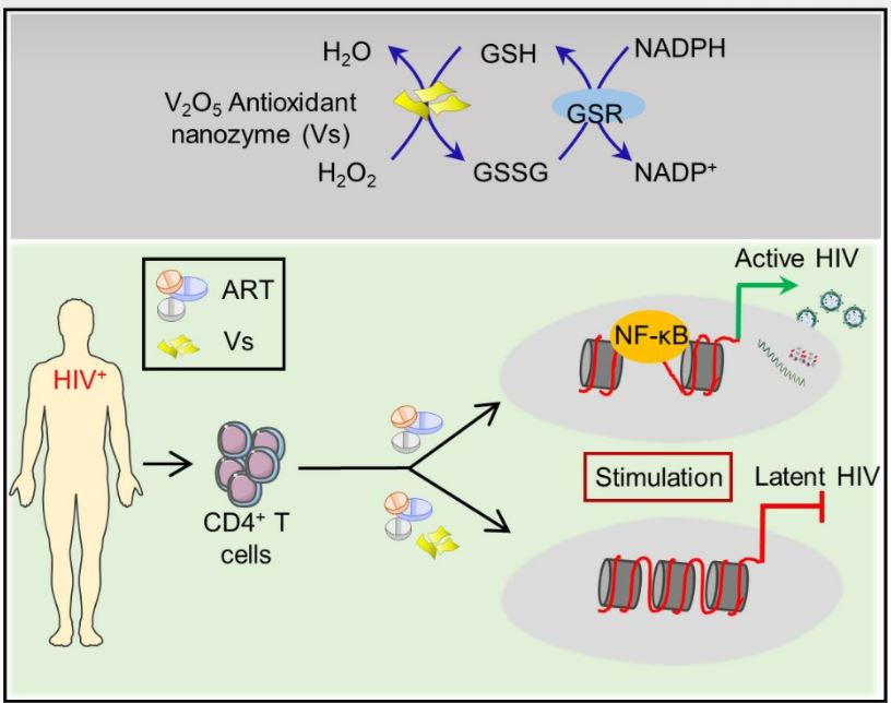 Nanozymes that can block HIV reactivation