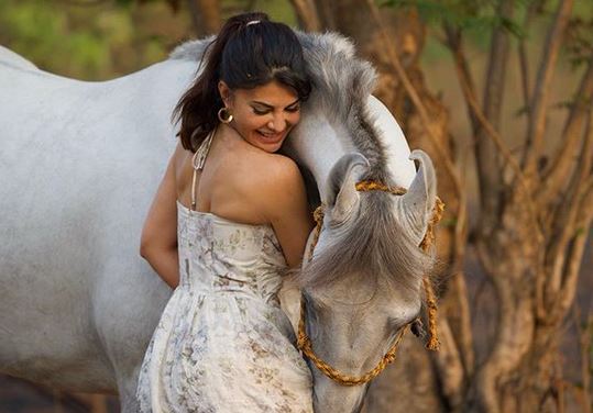 jacqueline fernandez