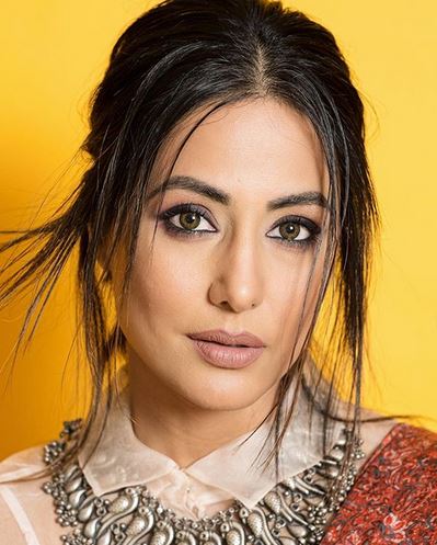 hina khan on bollywood opportunities