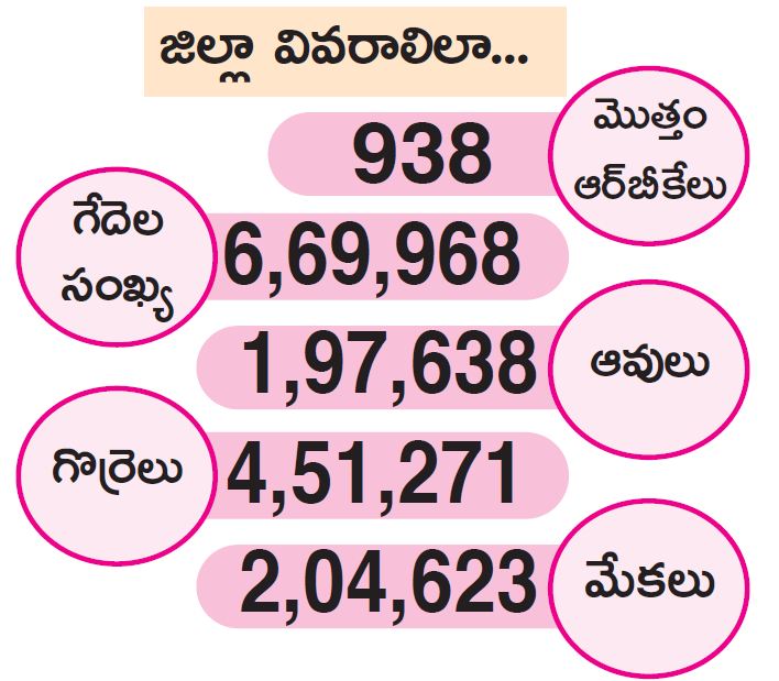 సంఖ్యా