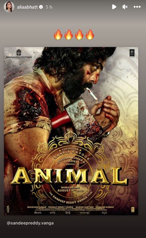 Animal First Look