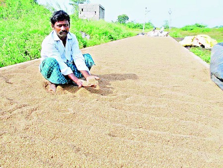 paddy framers problems in kadapa district