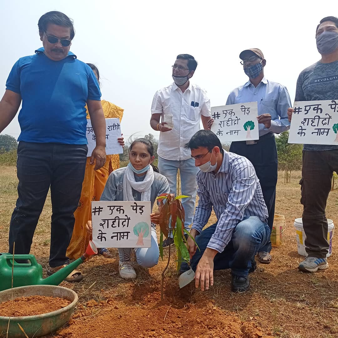 Plantation in the name of martyrs