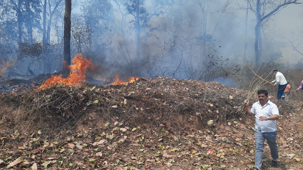 mla Vikram Shah Mandavi struggles to overcome the huge fire in the forest in bijapur