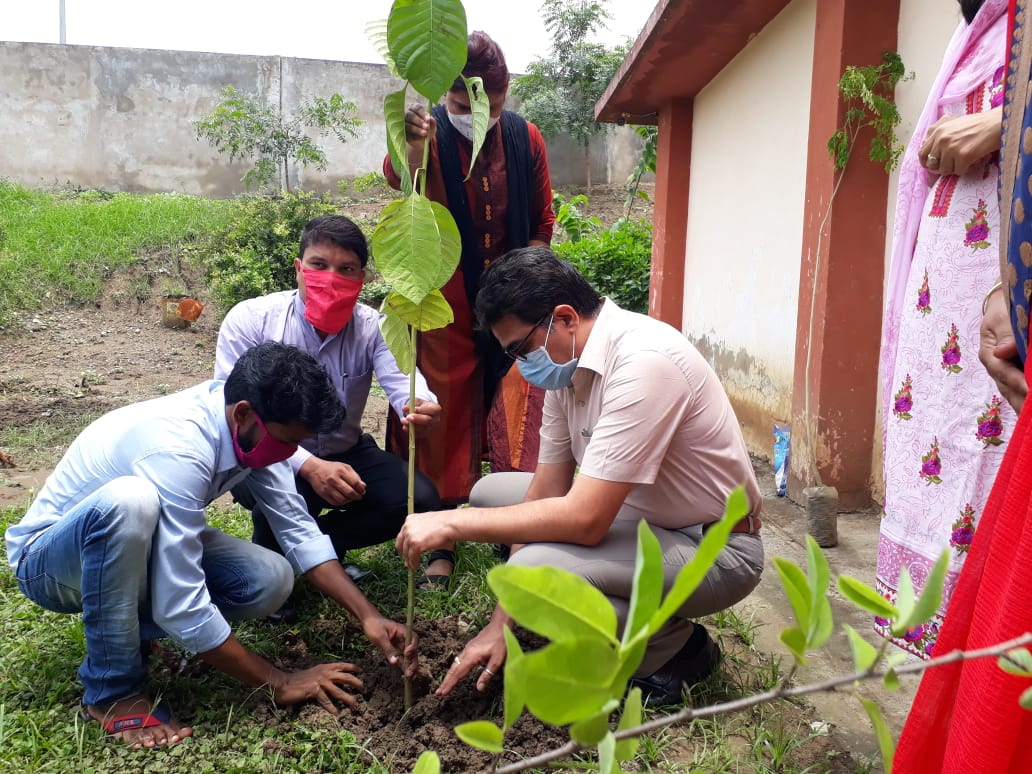 collector plantation in old age home