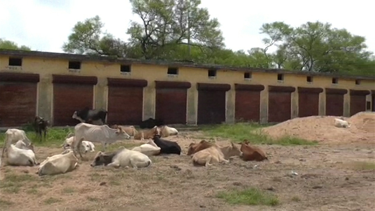 Corruption in construction of Passenger Hall at Bhatgaon in Balodabazar