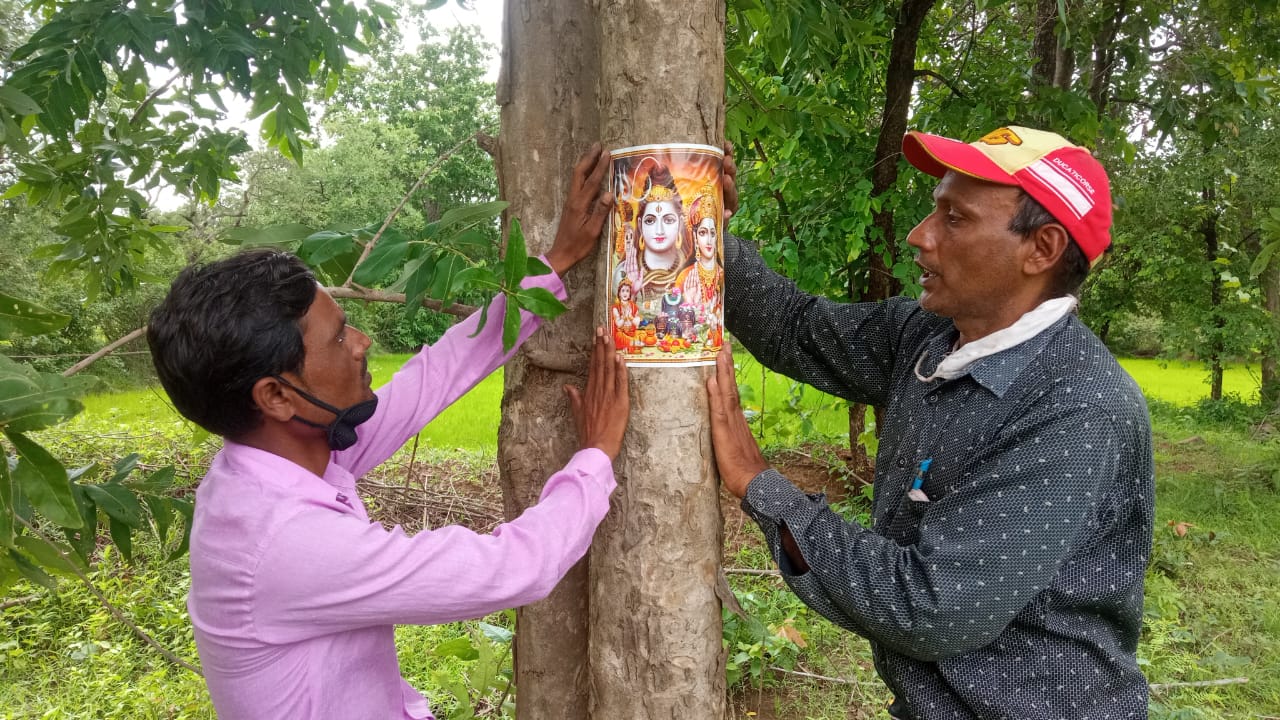 To save 29 trees from being cut Green Commandos put pictures of Lord Shiva on the trees in balod