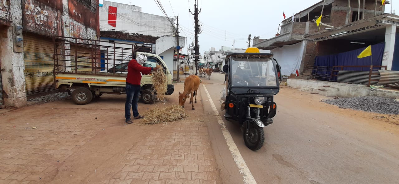 young-volunteers-of-balod-are-feeding-animals