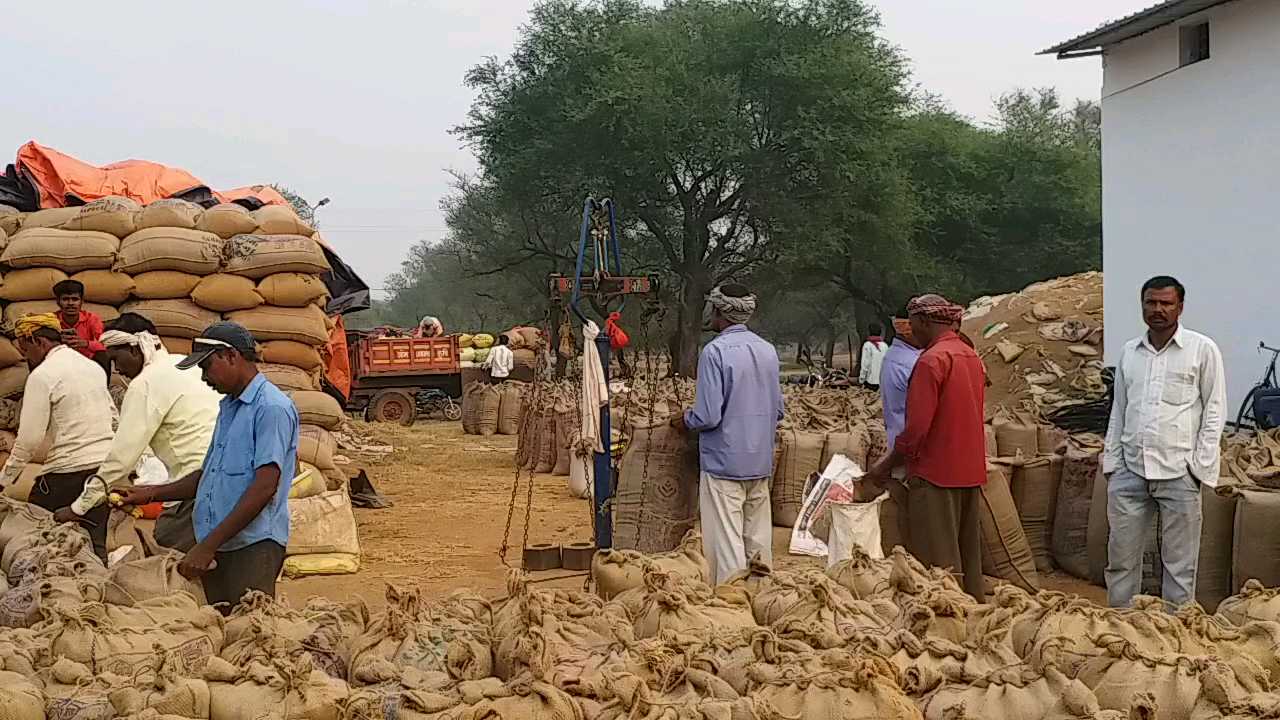 FarmeR paddy is lying in procurement center for 15 days IN BALOD