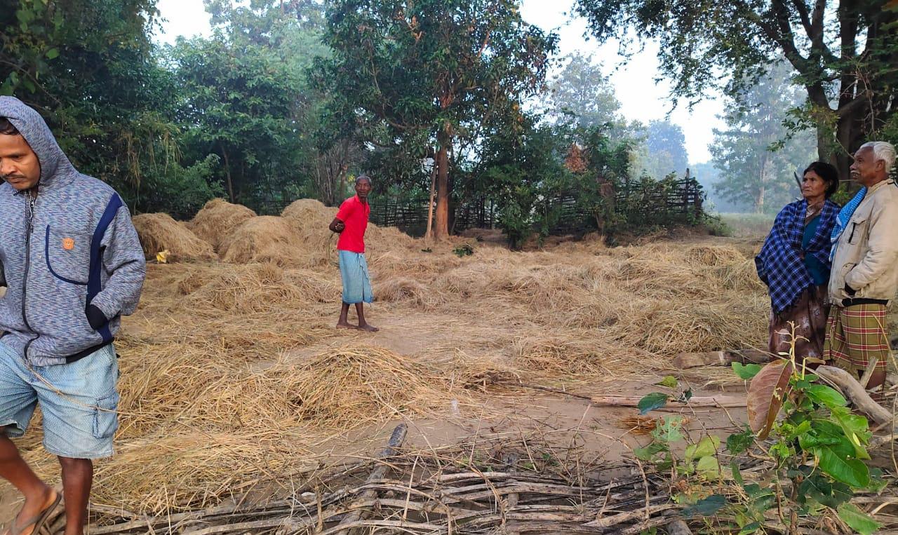 Elephants crushed bikes and crops in Jabkasa of Daundi block in balod