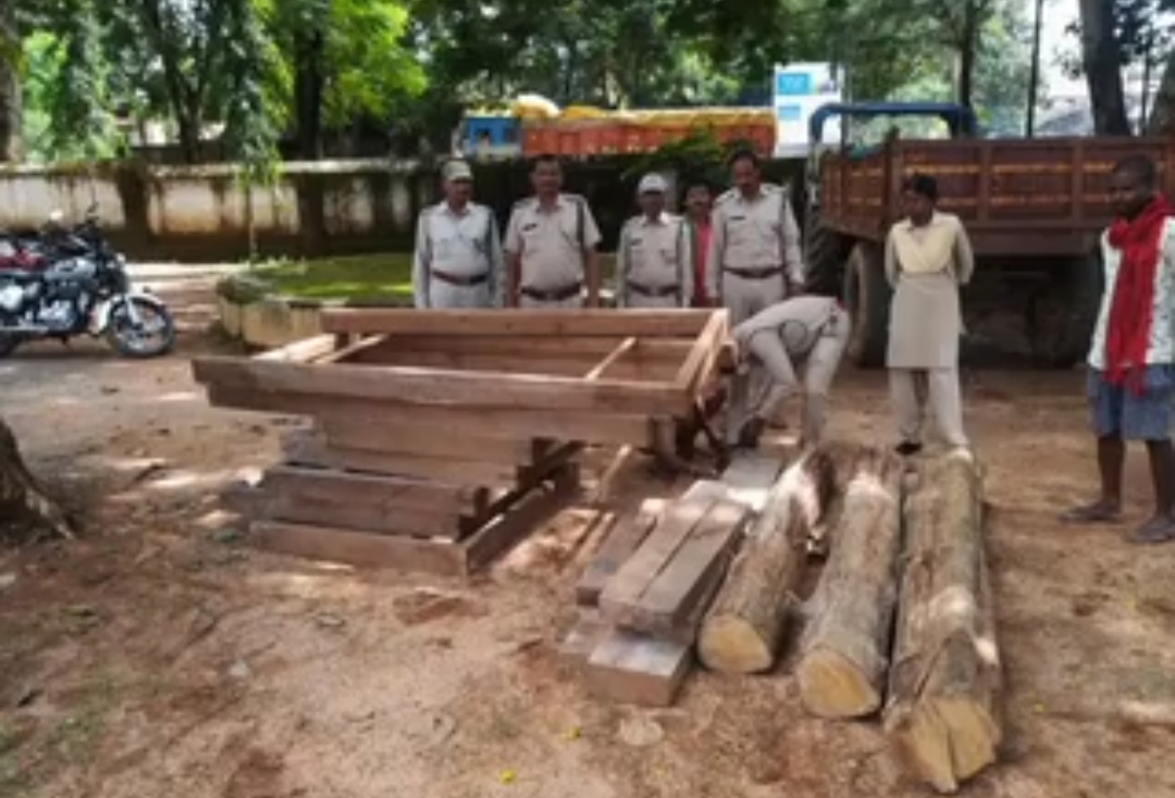 50 thousand rupees timber seized from Rajpur forest area in balrampur