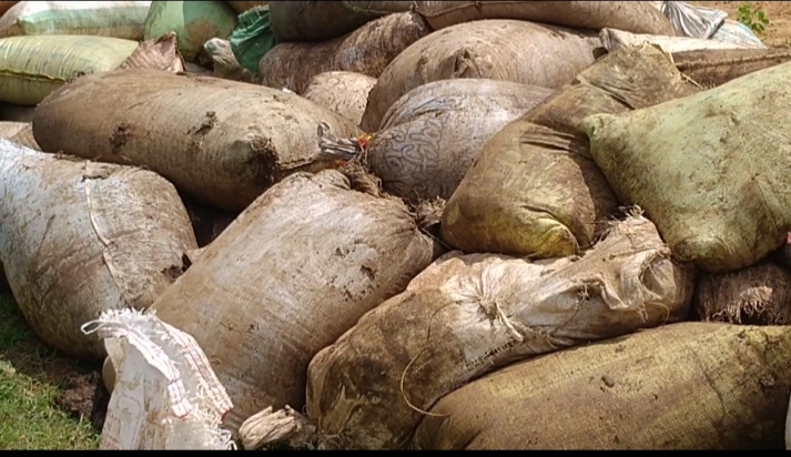 cown Dung purchase started in Balrampur