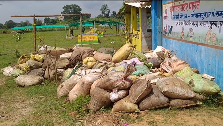 cown Dung purchase started in Balrampur