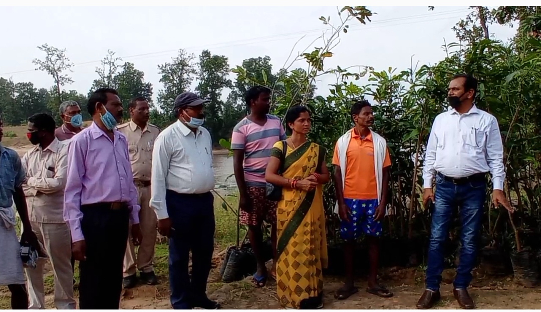 forest department distributed two thousand fruitful saplings in gram panchayat chilma in balrampur