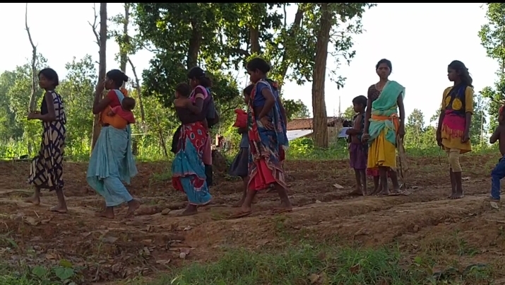 CREDA Department Delivers Electricity to Madrid Village Through Solar Energy in balrampur