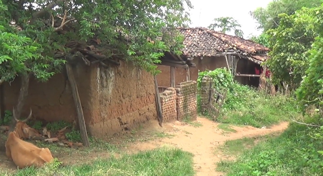 house not build after three year of alloting to baiga tribal of bilaspur