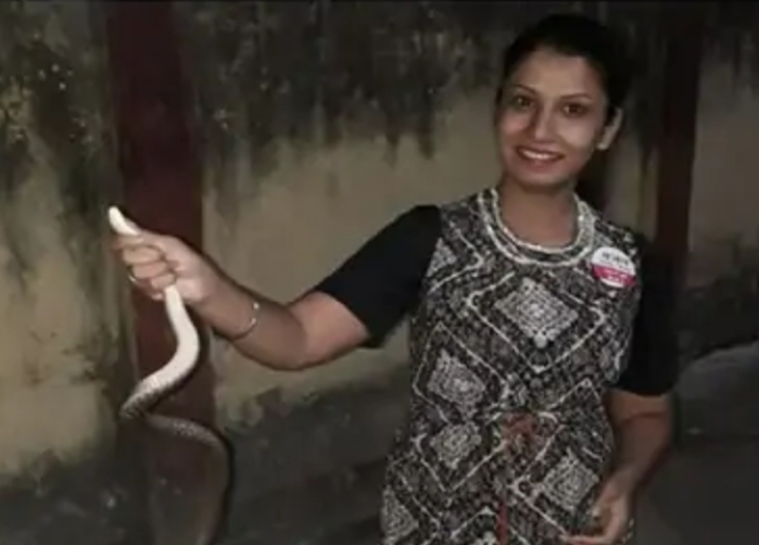 In Gorela Pendra Marwahi woman raksha caught snake who had entered the house