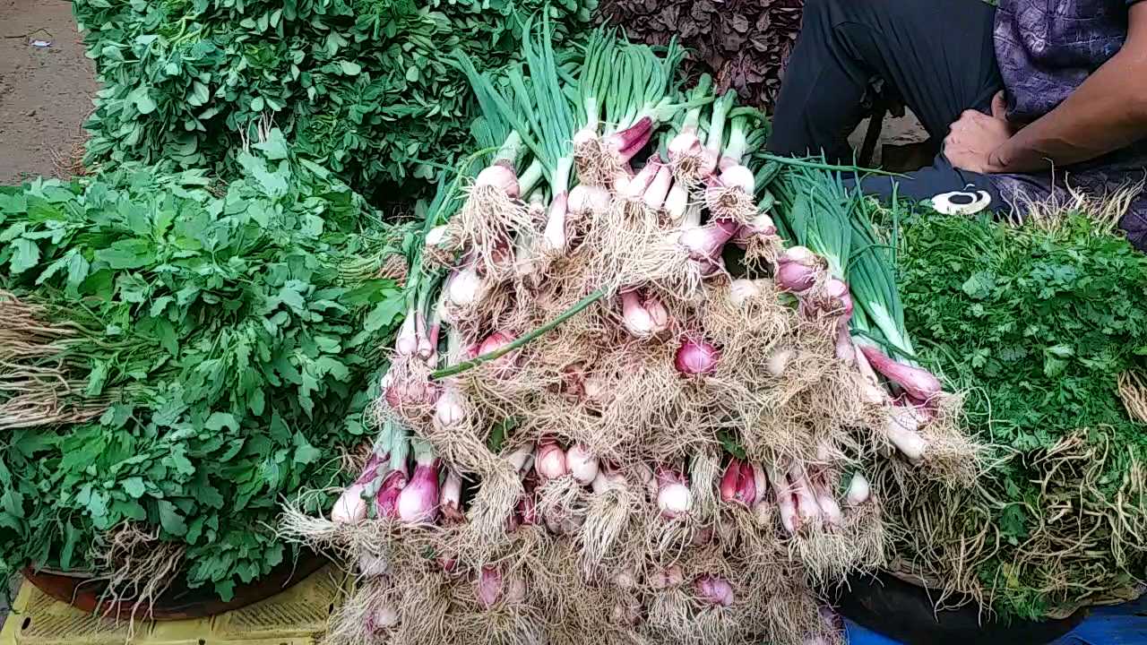 Radish Rs 10 to 15 per kg