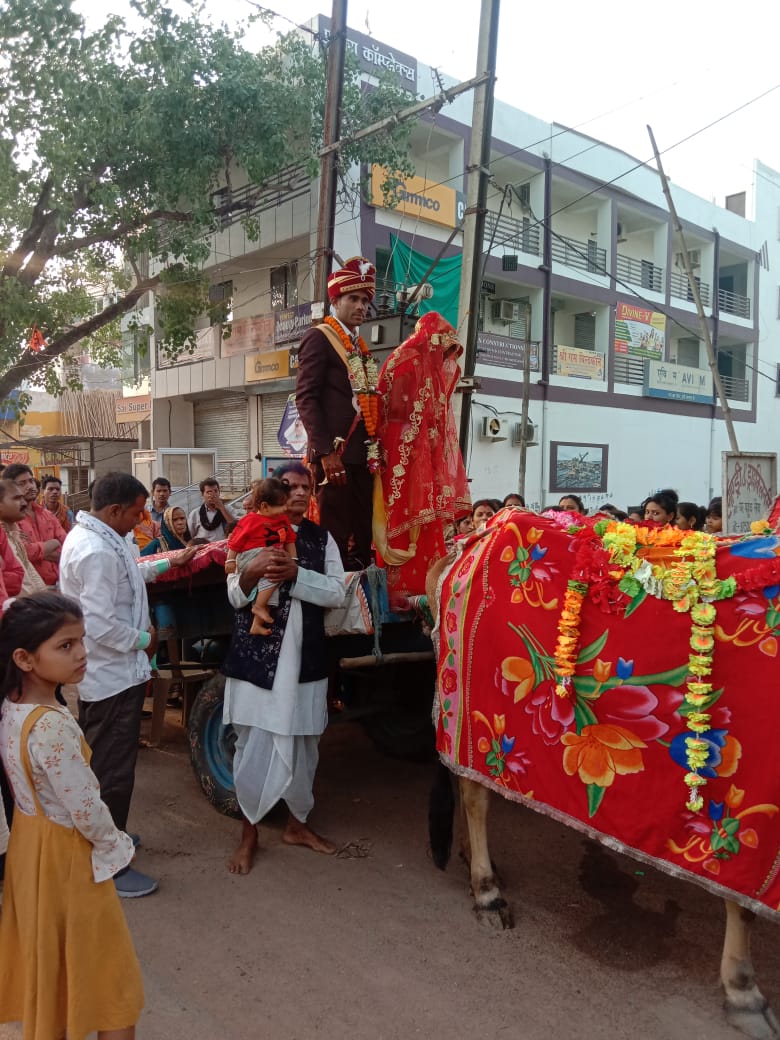 Bride departed in bullock cart in Bilaspur