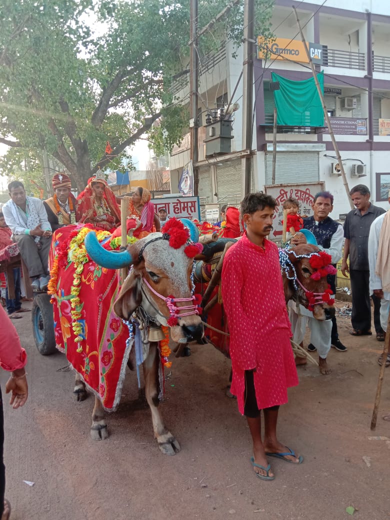 Bride departed in bullock cart in Bilaspur