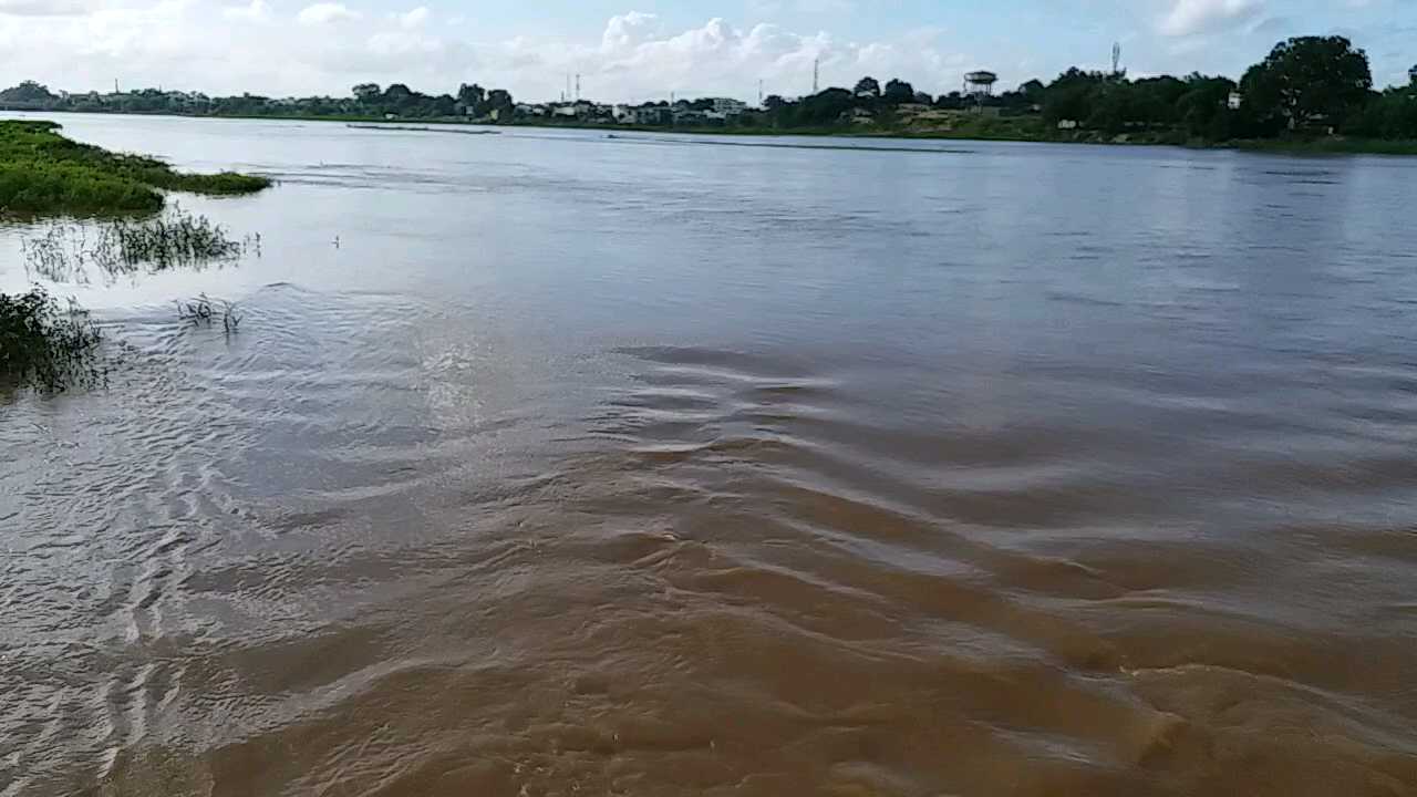 heavy rain in bilaspur