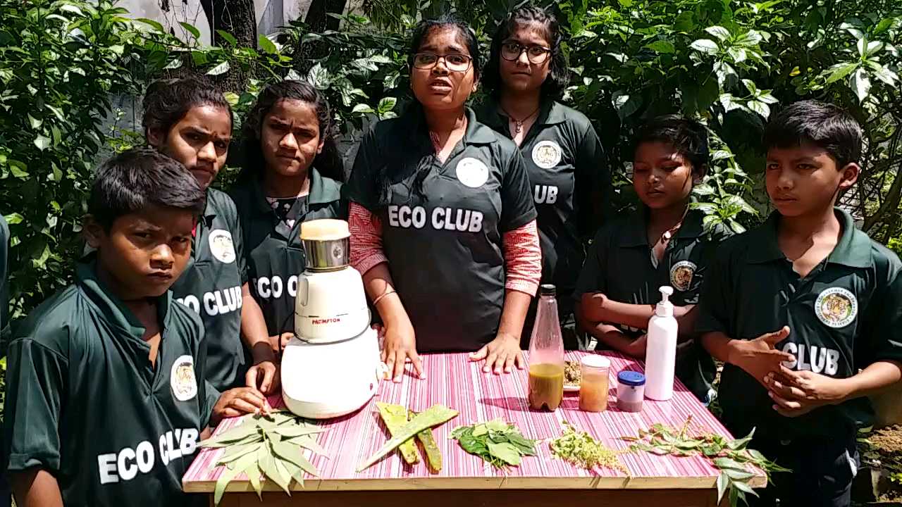 special-story-on hurbal sanitizer created by Nature Body Eco Club student