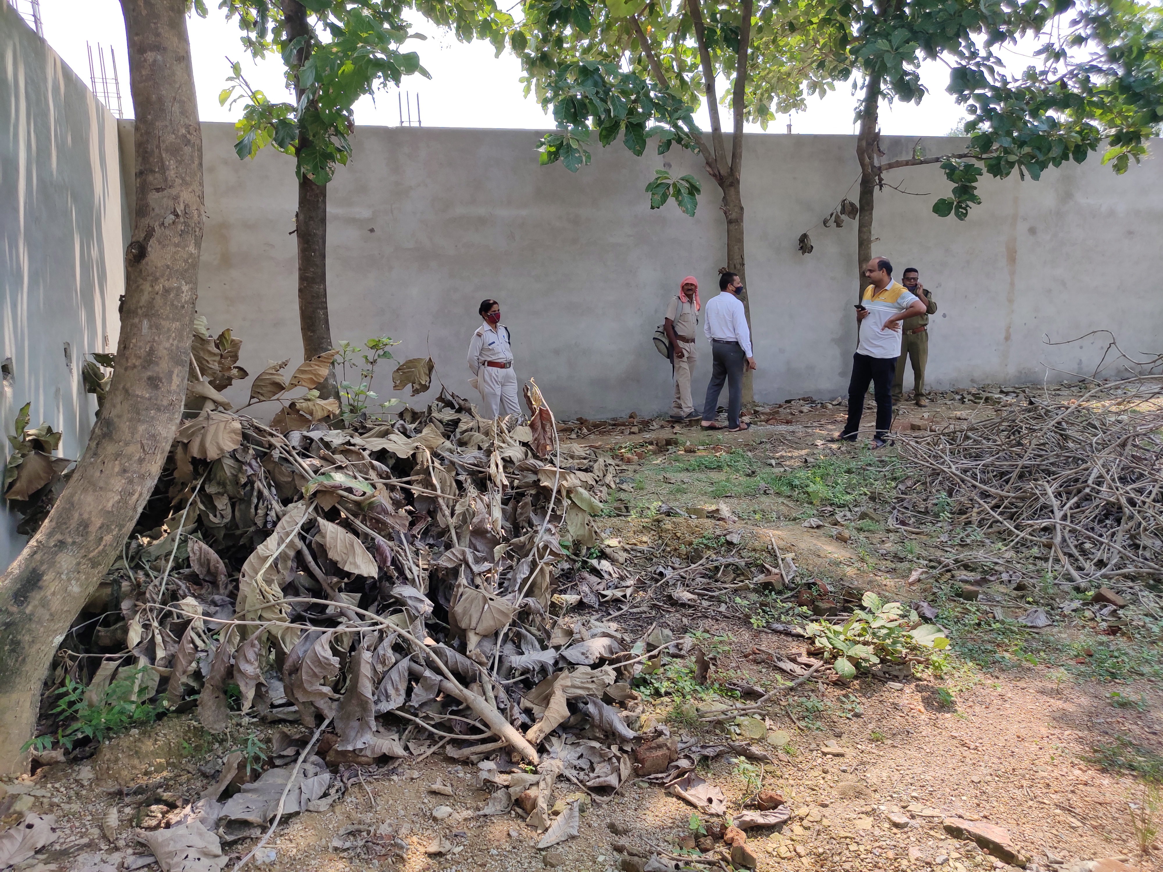 Illegal wood seized from rice mill operator IN BILASPUR