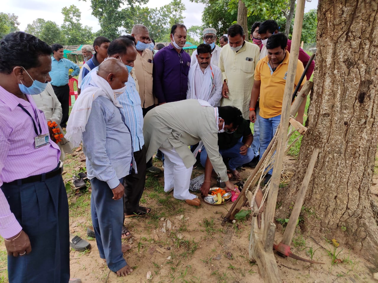 hareli celebrated in bilaspur kota